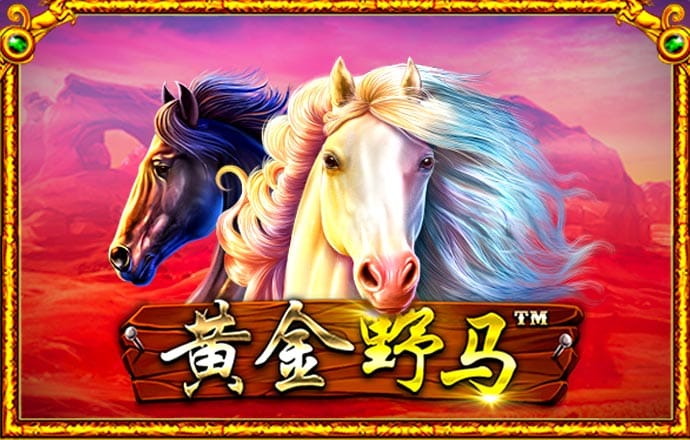 查特邀彩金app